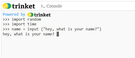 Chat Bot - Python, Conditionals and Variables